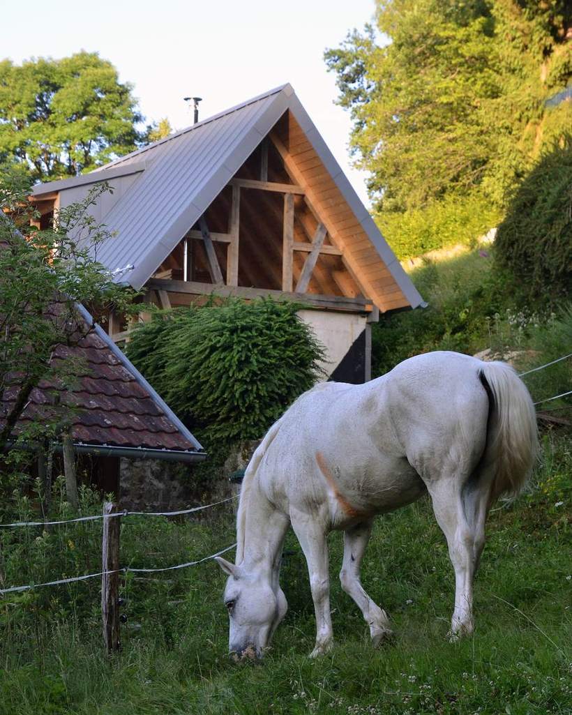 Un cheval au pré devant l’écurie, à la Ferme du Pfeifferberg