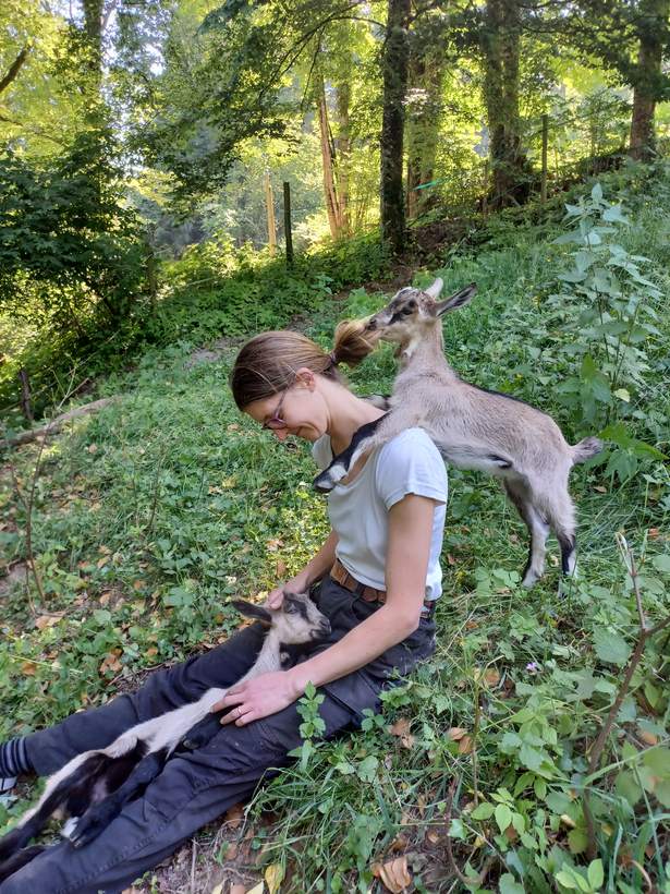 Avec deux cabris dans le pré